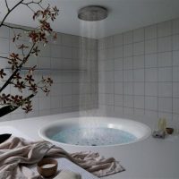 design luminos al unei băi cu un duș în culori închise imagine