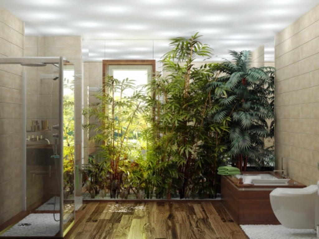 světlé ekologické místnosti interiér
