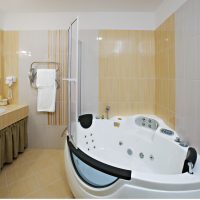 šviesus vonios kambario interjeras su dušu tamsių spalvų nuotrauka