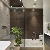 neįprastas vonios kambario dekoras su šviesios spalvos dušo nuotrauka
