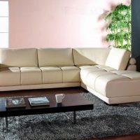 graži kampinė sofa svetainės interjero paveikslėlyje