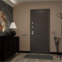 bright doors in the design of the hallway photo