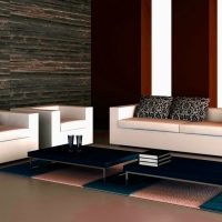 krásné high-tech obývací pokoj design fotografie