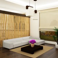 koridora attēla interjerā griesti ar bambusu