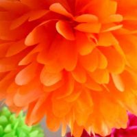 daudzkrāsaini papīra ziedi zāles fasādē foto