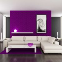 ryškus koridoriaus dekoras purpurinėje nuotraukoje