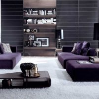 interior interior living ușor în fotografie violet