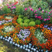 необичайно създаване на дизайна на градината с картина с цветя