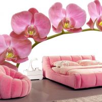 комбинация от светло розово в стила на спалнята с картина с други цветове