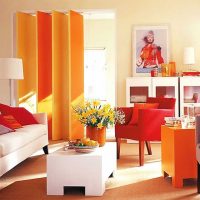 ryškiai oranžinis namų dekoro derinys su kitų spalvų nuotrauka