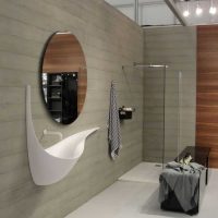 ideea de tencuială decorativă strălucitoare în designul imaginii din baie