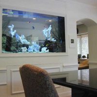 myšlenka na krásné domácí akvárium dekorace obrázek
