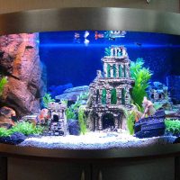 ideea unui design frumos al unei fotografii de acvariu acasă