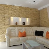 kambario paveikslo stiliaus ryškios dekoratyvinės akmens idėja