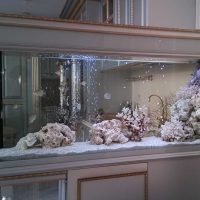 ideea de decorare luminoasă fotografie acvariu acasă