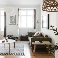 ideea unui interior luminos al apartamentului din poza 2017
