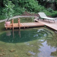 idea hiasan yang luar biasa untuk foto kolam kecil