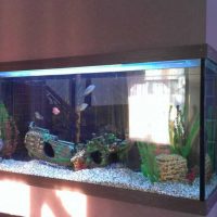 optie heldere decoratie thuis aquarium foto