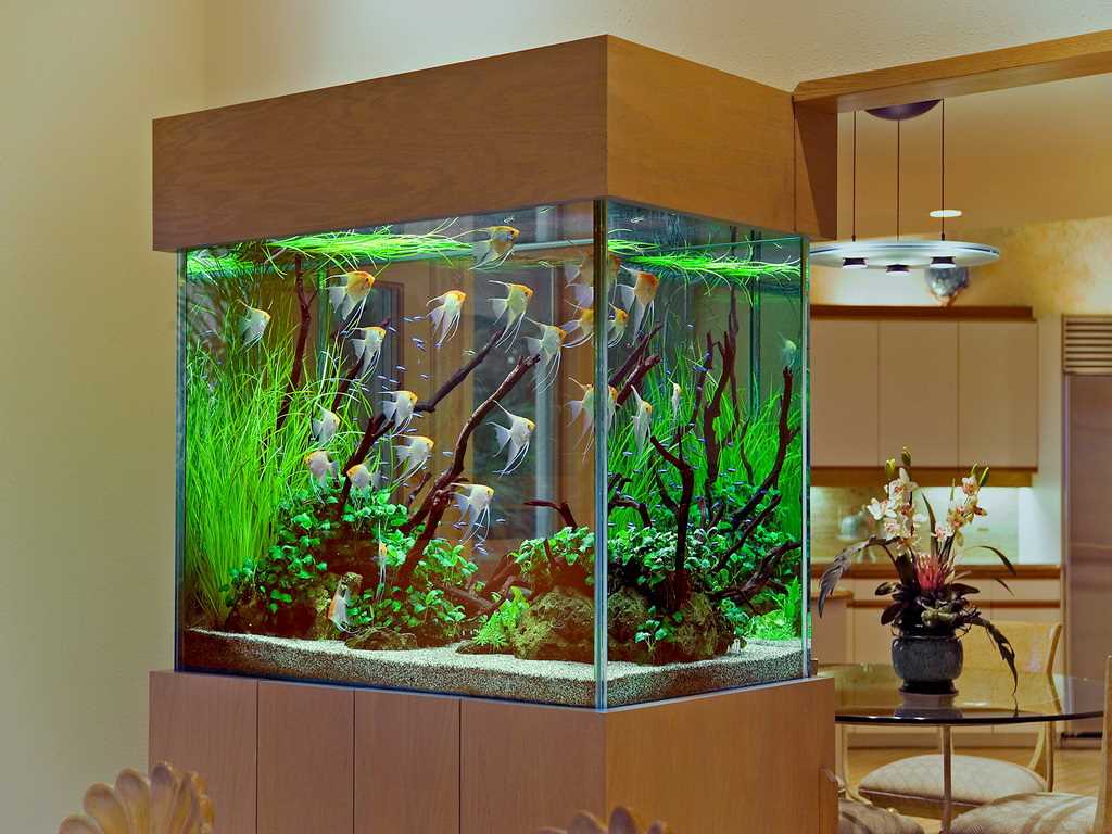 nápad krásné dekorace domácí akvárium