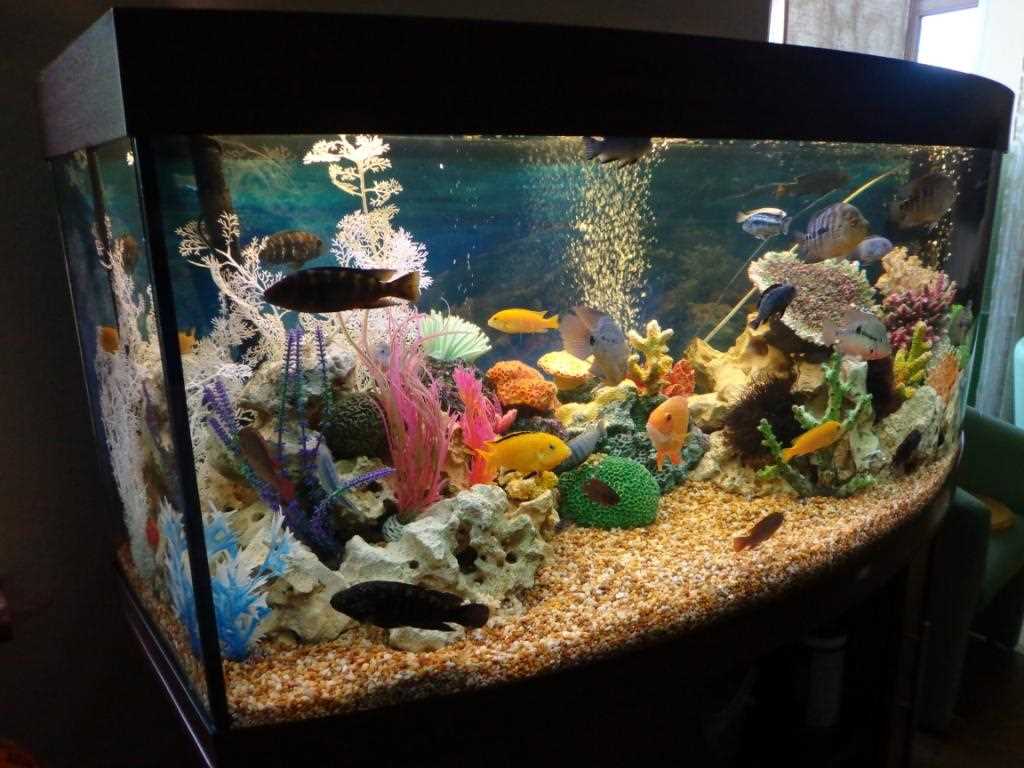 Idee der ursprünglichen Aquariumdekoration