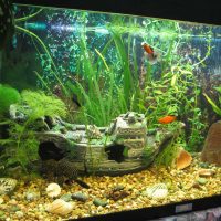 die idee einer schönen dekoration für ein zuhause aquarium foto