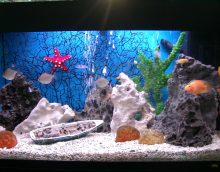 možnost světlé dekorace akvárium obrázek