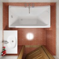 neįprasto dizaino vonios kambario versija 2,5 kv.m nuotrauka