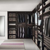 idee de o imagine modernă pentru garderoba interioară