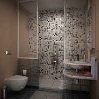 het idee van een ongewoon interieur van de badkamer 2017 foto