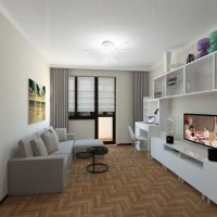 variantă a decorului luminos al unui apartament modern, tablou de 50 mp