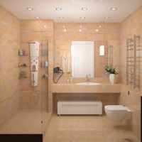skaista vannas istabas interjera 5 kv.m foto opcija