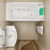 ideea unei camere de baie luminoase în stil 2,5 mp