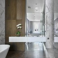 Het idee van een ongewone stijl van de badkamer 2017 foto