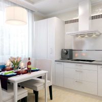 het idee van een mooie stijl van keuken 8 m² beeld