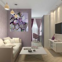 variantas šviesus stilius gyvenamasis kambarys miegamasis 20 kv.m. paveikslas