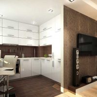 variantă a stilului luminos al unei imagini de apartament cu două camere