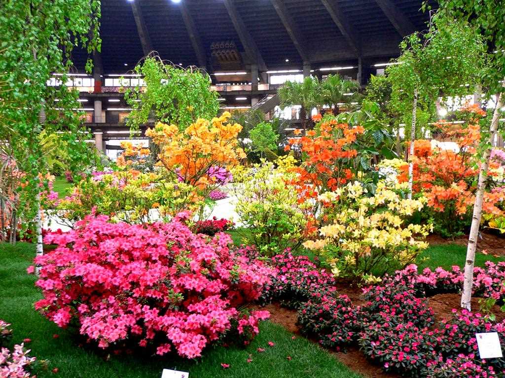 Contoh penggunaan tumbuhan luar biasa dalam reka bentuk landskap kediaman musim panas