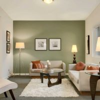 spilgtas krāsu kombinācijas variants modernas istabas foto interjerā