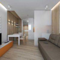 šviesaus stiliaus gyvenamojo kambario miegamojo idėja 20 kv.m. paveikslas