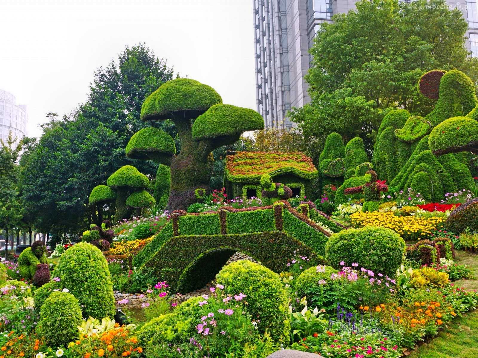 contoh penggunaan tumbuhan terang dalam reka bentuk landskap rumah