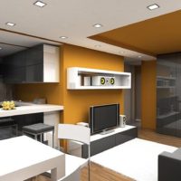 design spațios al unui apartament cu o cameră