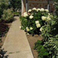 опцията за използване на красиви градински пътеки в дизайна на картината на двора