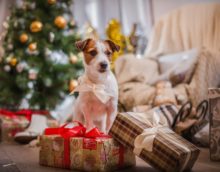 Hiasan pokok Krismas untuk tahun anjing