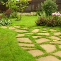 Пример за използването на леки градински пътеки в дизайна на снимката на двора