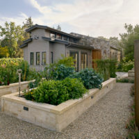 tuin met tuin bedden huisje ontwerp