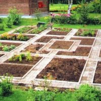 tuin met tuin bedden huisje ontwerp
