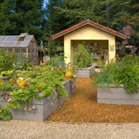 tuin met bedden zomerhuisje ideeën foto