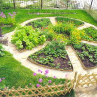 tuin met bedden foto-ontwerp