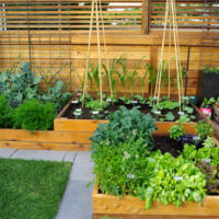 tuin met bedden bij het huisje ontwerp