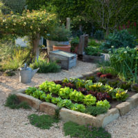 garden with beds in the country photo ideas
